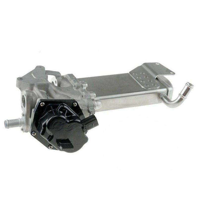 EGR1157-S01_1