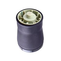 Bolsa Ar SuspensÃO Traseira Bbi Germany Bmw X5 E53 2000-2007