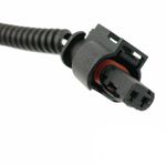 CHV1611-S06-6
