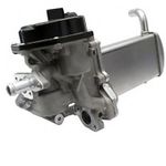 EGR1157-S01-4