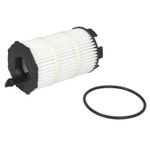 FOM4300-S02-1