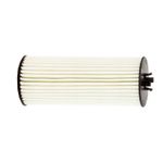 FOM6008-S08-3