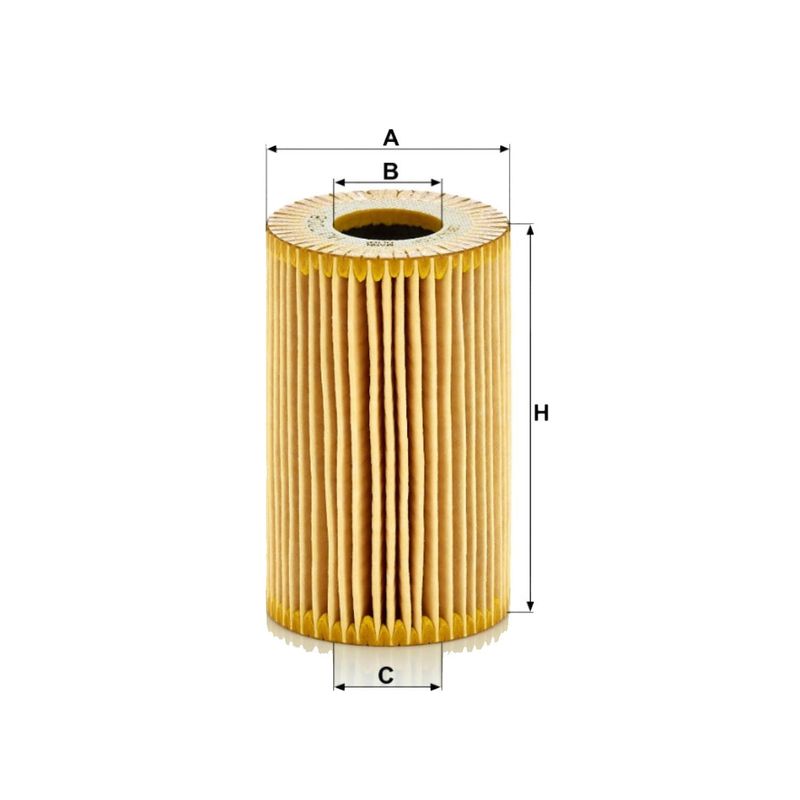 FOM7008-S01-2