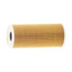 FOM7026-S02-5