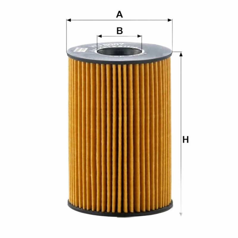 FOM8007-S01-2