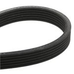 COP4459-S04-3/COP4459