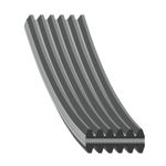 COP4459-S04-4/COP4459